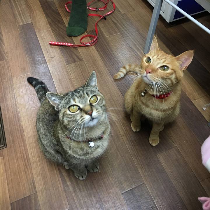 Bf54fe56 23b2 421a 8af7 1e85a16c9480