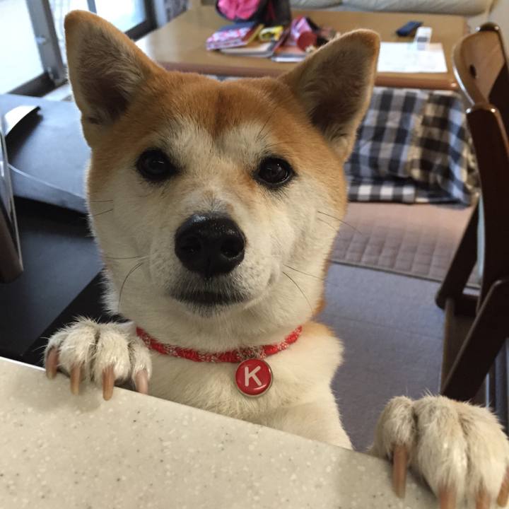 Bf551f38 5986 46f5 98c1 e5200879b422