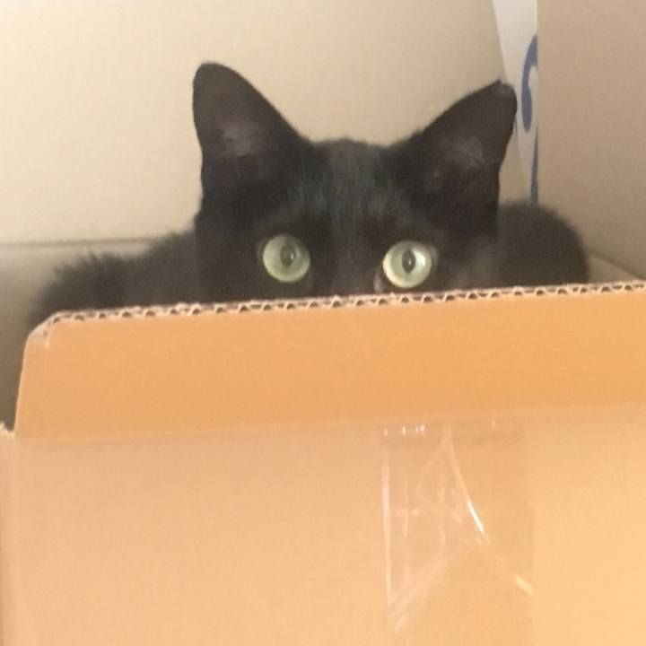 Bf5544ff 9286 4333 9bbc ef1fcd1ac1ec