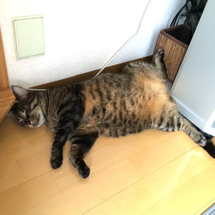 Bf55526d e965 4191 bf8f 65a788ba7526