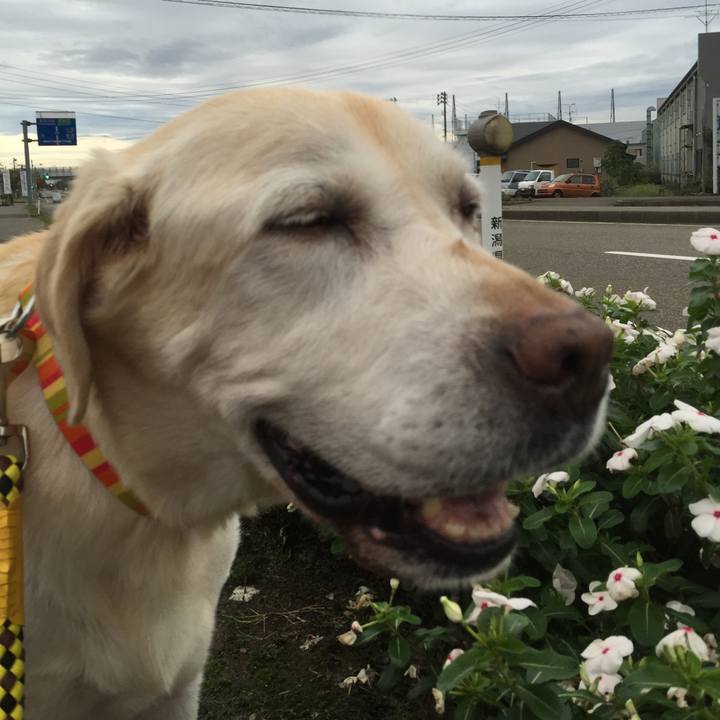 Bf560a94 afc0 4dce 8b14 ba61af65df35