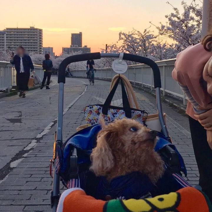 Bf568fce 0cd4 49d0 be0a 5169339cfd6a