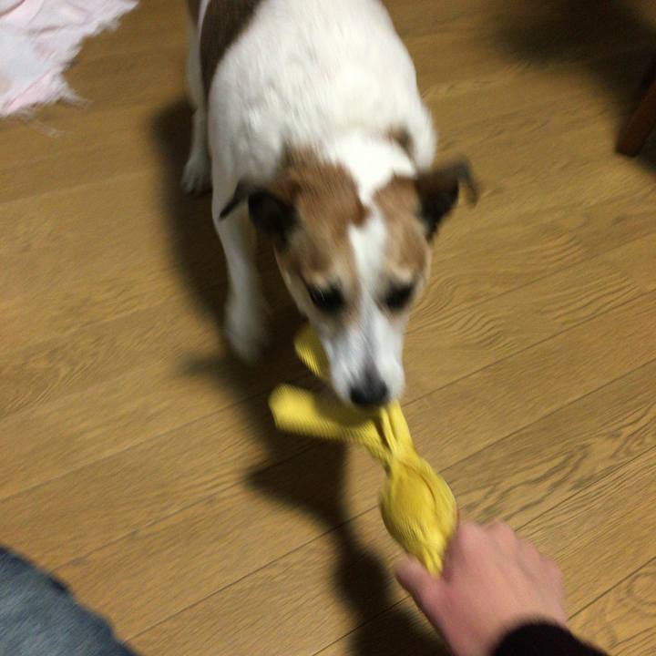 Bf5794e3 6d1c 4c0e ac87 f78a6e875fb9