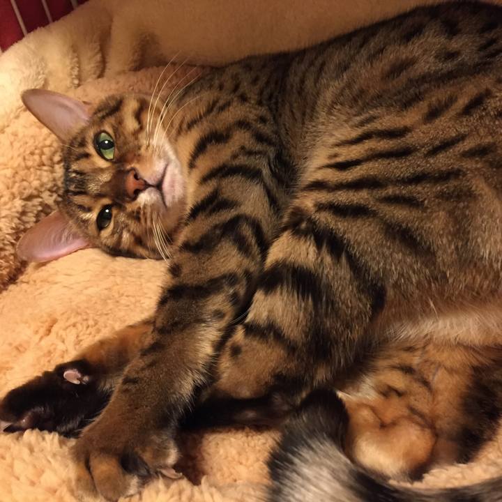 Bf579c09 5d28 4f46 bbfc 4a2f6c4ca82a