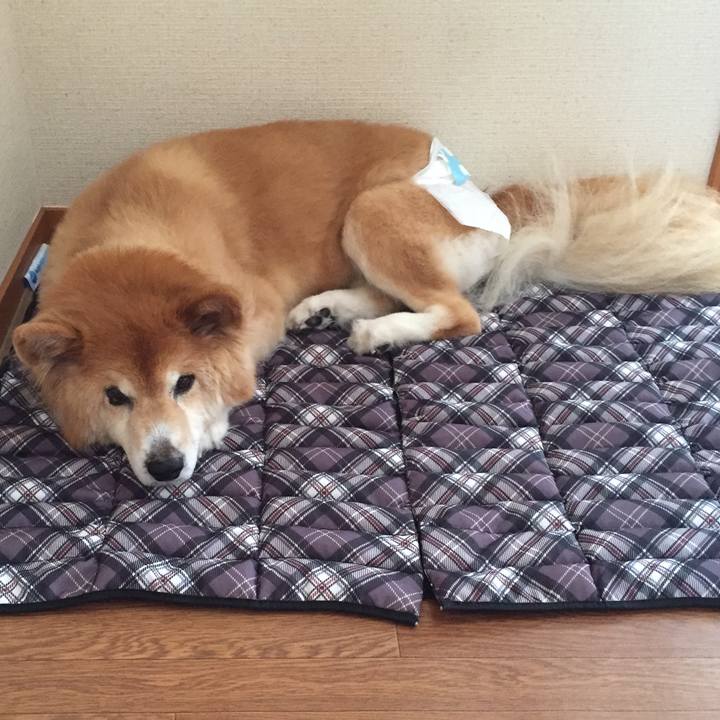 Bf584e27 9fc3 4212 87b3 4ab1f51062bc