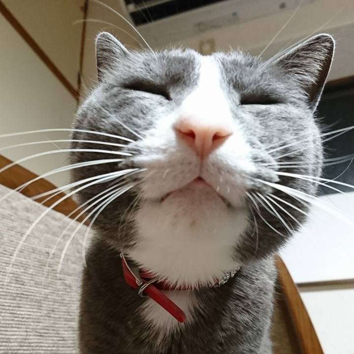 Bf590bf2 3eb5 4606 9ec8 717b7768708b