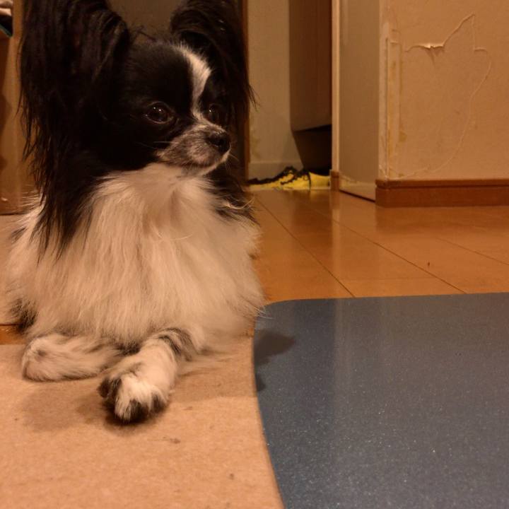 Bf5913d7 307b 475e 9384 34802b3dd726