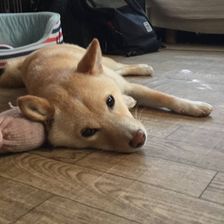 Bf5992ac bcc1 43e7 ba5c 9db45fc07588