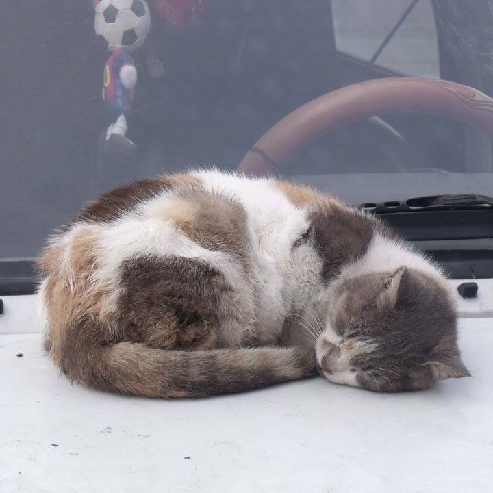 Bf5a350f 661f 416f a89a f355a7b73189