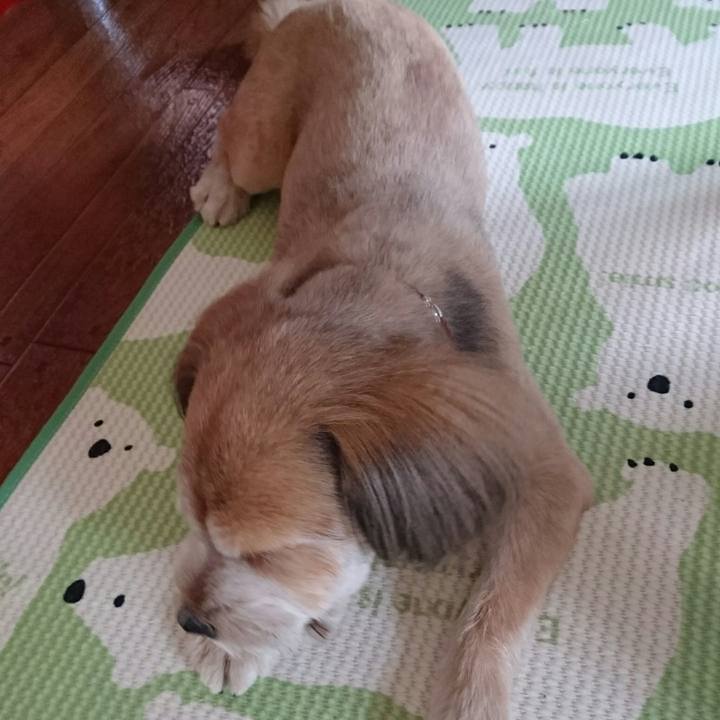 Bf5adeb9 e48a 4158 ba01 8e42dfe253b6