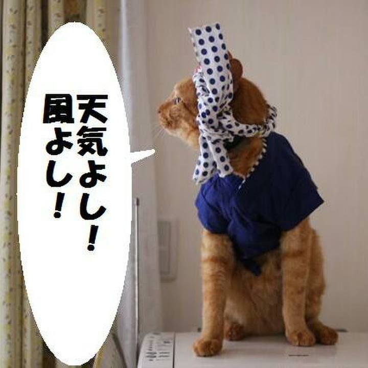 Bf5adf6d 2366 4f55 8741 8ed8164c4752