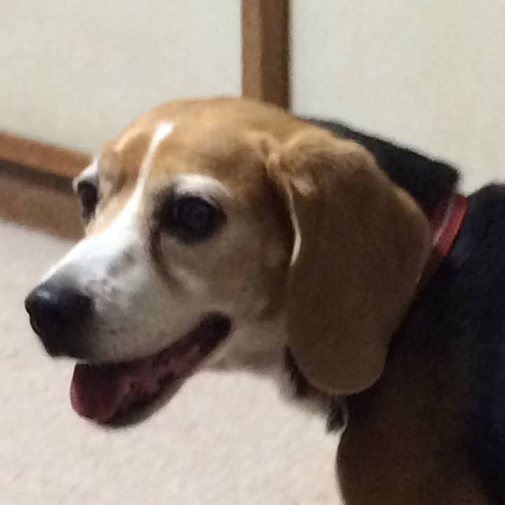 Bf5ae2e9 11da 4c0e 8ec7 53e4ecee0b55