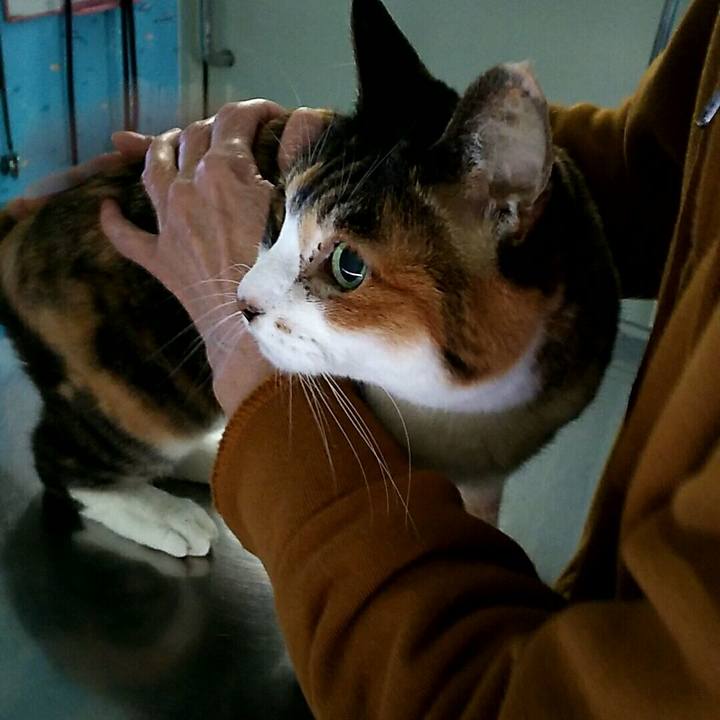 Bf5bbe71 2b07 4ede af94 a09f048459d0