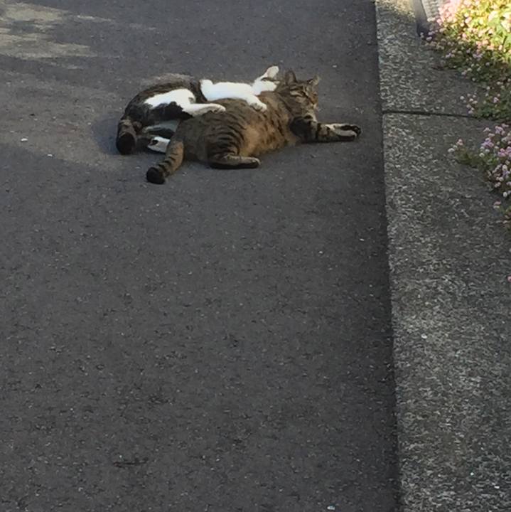 Bf5c7b39 0d1d 47b7 9c06 6eb8853e1a97