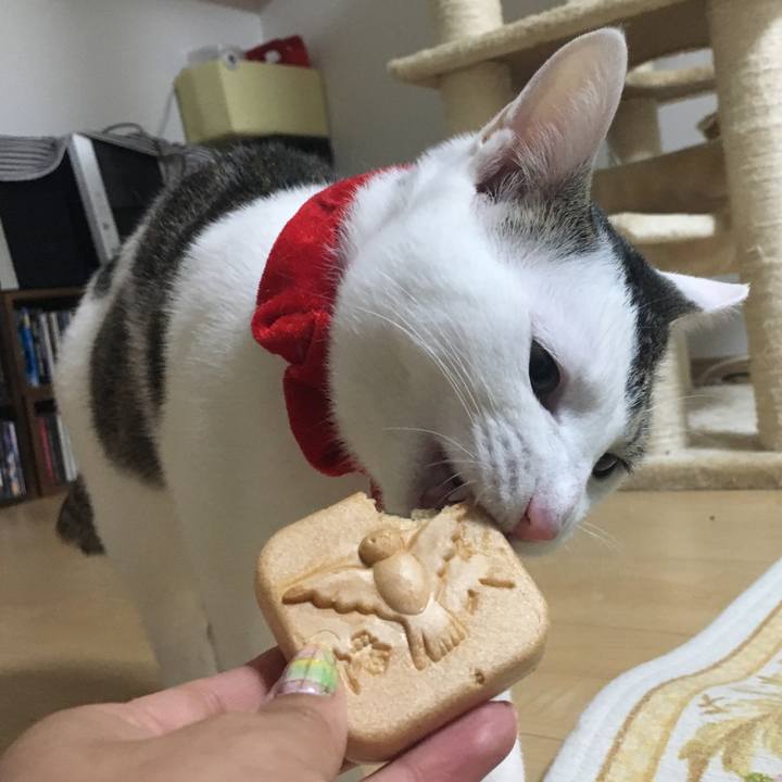 Bf5ccd7c e63e 4f56 b886 2a8f4b80ab95