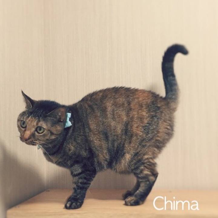 Bf5cf34c 253f 4f8a b18f 2f2795c45d6b