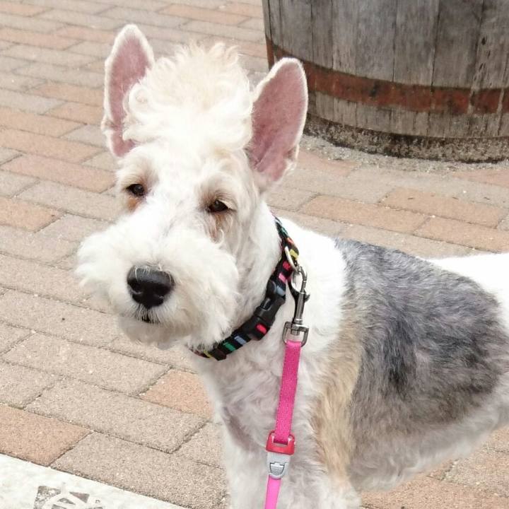 Bf5d2c98 8d21 449e b204 cc085cbb27bc