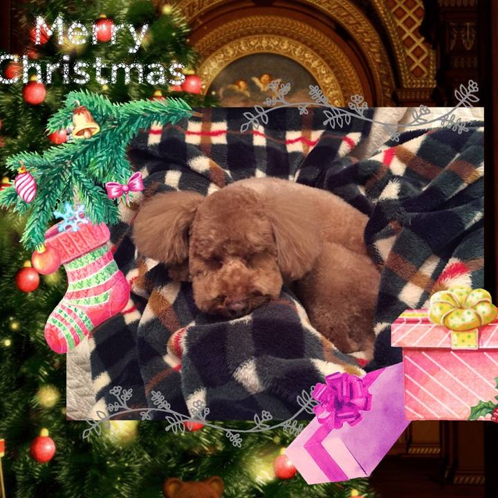 Bf5d65e9 6f57 4bfd a9c2 5e490d51401b