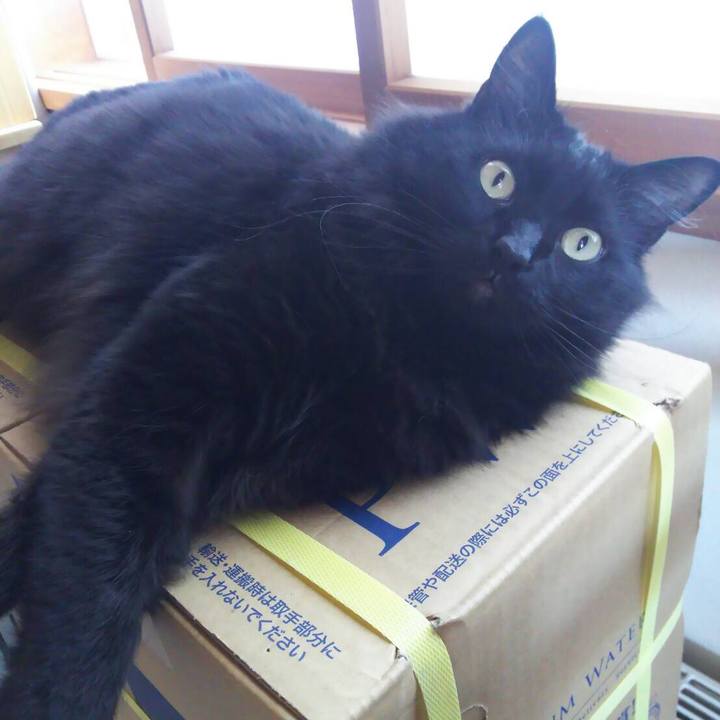 Bf5de374 92ae 4329 8934 b88c5d8461f1