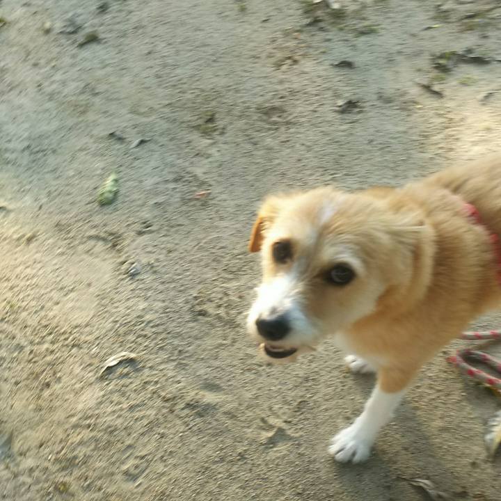 Bf5df534 7b67 4496 b371 a54bec56cf98