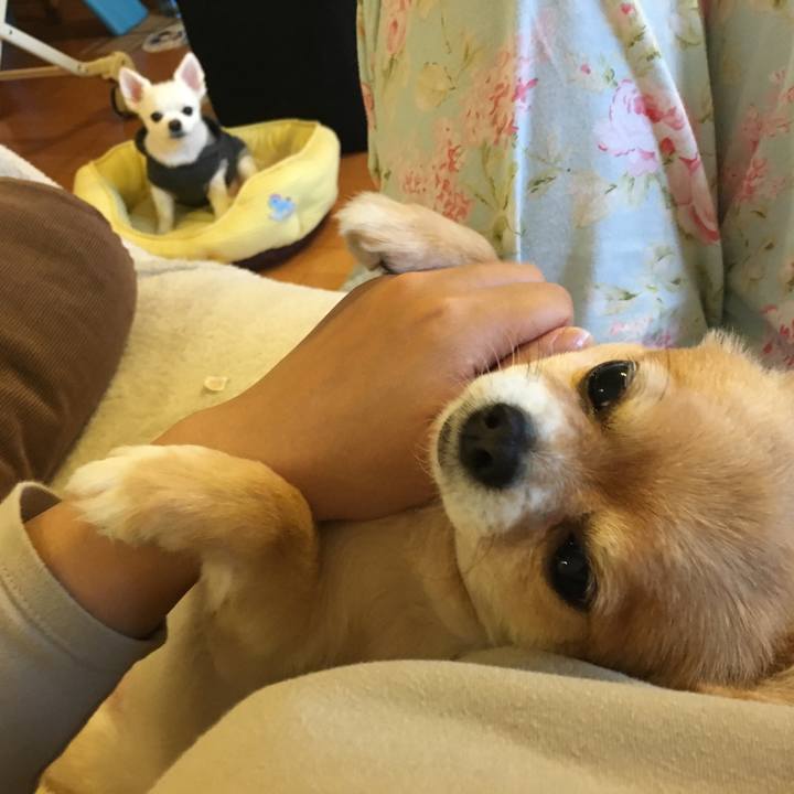 Bf5dfd39 3fc5 4035 8635 798bd8b9940c