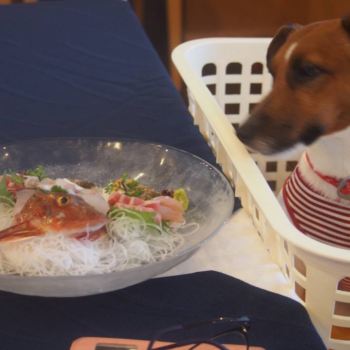 Bf5ec02e 7075 4ea3 9f71 f9a81d3260dd