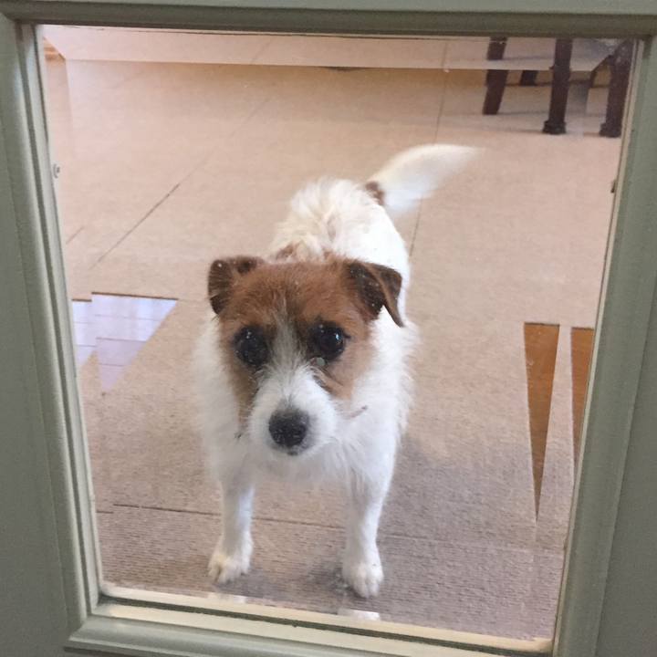 Bf5f17ea 0fad 401a 9b8a 0c94d779fc0f