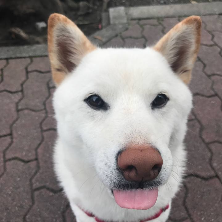 Bf5f213c 7781 49ba bd5e f63558dcb05b