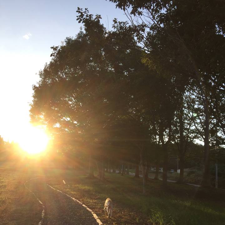 Bf5f2e6c 0972 40e8 a483 a36e663bbc59