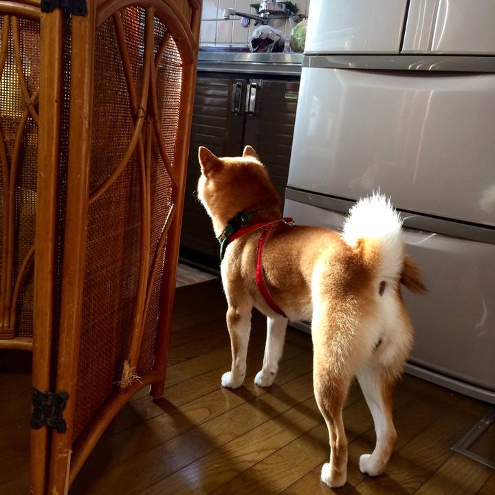 Bf60188e 62f4 4607 9c9b ef1f84f88d42