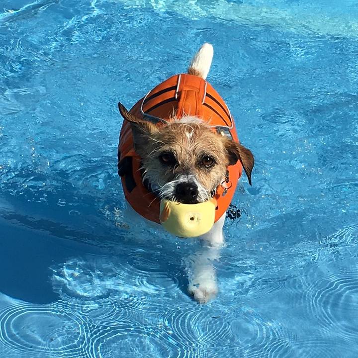 Bf605222 f095 477b ac72 eb0dbfa27aba