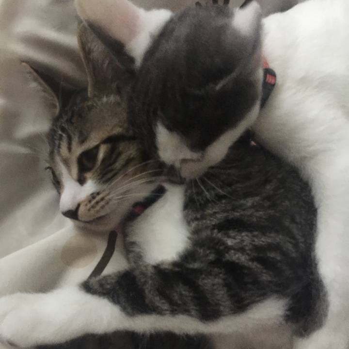 Bf605352 47ac 47a7 93d2 c34684ff1182