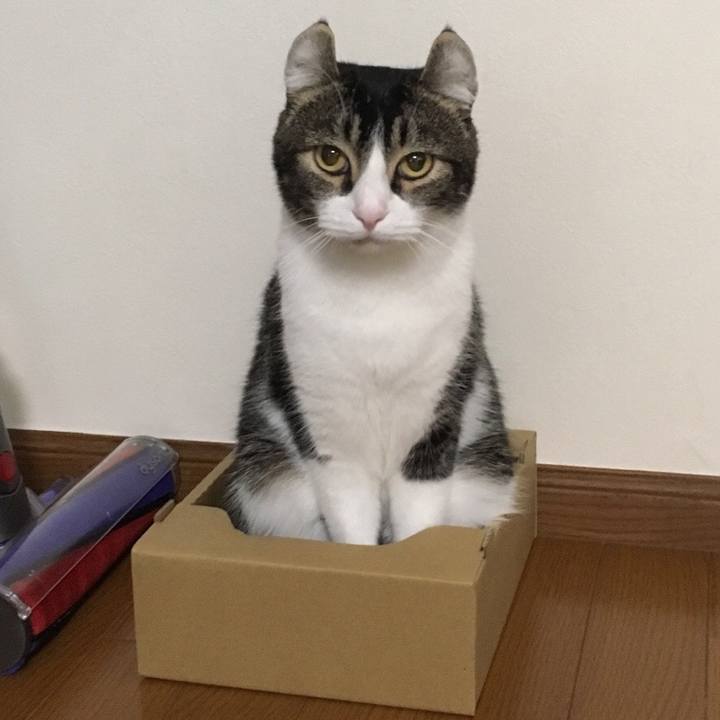 Bf60e271 c3cc 44af abec 4d35dfe4f0ac