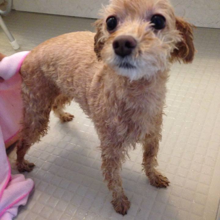 Bf6114f2 c7bc 4409 a976 7302fc55572b