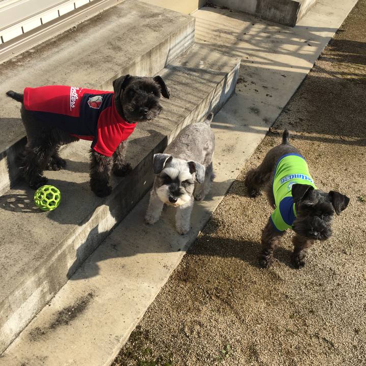 Bf61c153 1d39 4f5d a7f9 dc92e31a3711