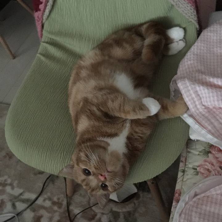 Bf61dd4b 522f 43d0 bcda 211cb2d214de