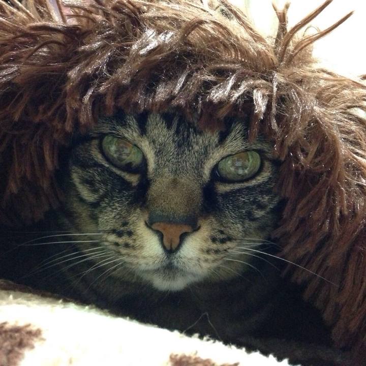 Bf63101e c0bb 417e 9ac2 14f4aea48d71