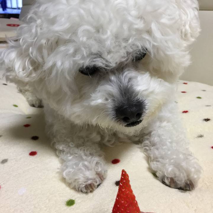 Bf63a68f bf74 4810 966b 4842708a591e