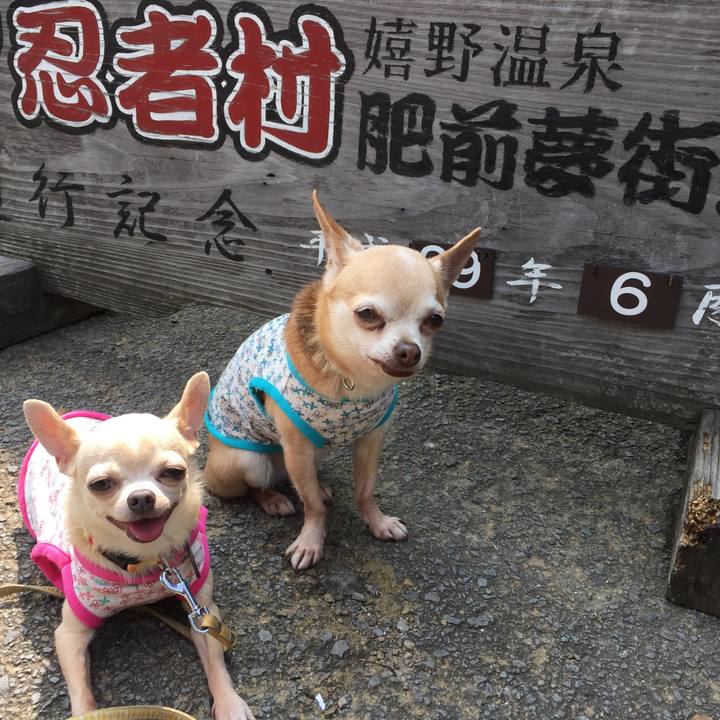 Bf63b0c5 7db5 47a5 9220 64763d3b2a86