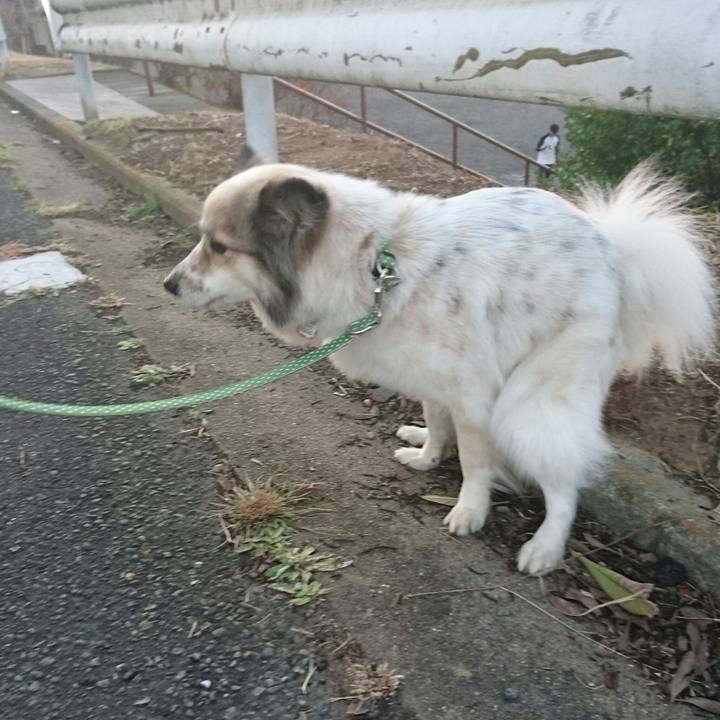 Bf63dea3 b5ac 4529 b3b0 83439b5c9d8d