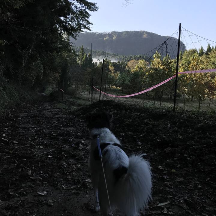 Bf6430d4 c632 42a7 8332 e2e001f37751