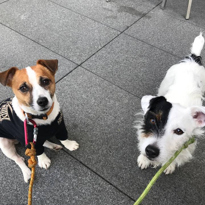 Bf64a352 21fd 491f ac2b f8ba54fbad1d