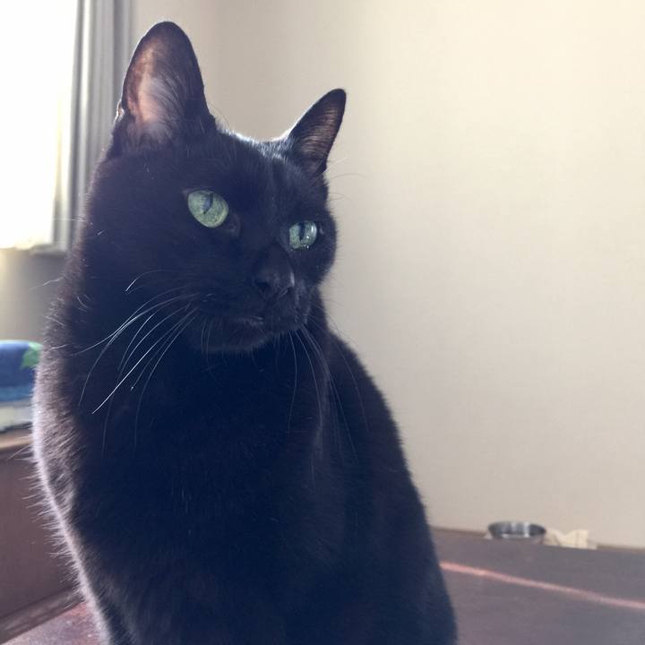 Bf650268 7bcb 45f7 95b7 f191964cc666