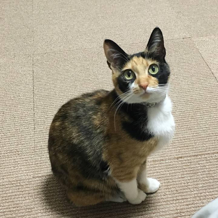 Bf6523fe 6ac6 4da1 9d23 013f0dab1bdc