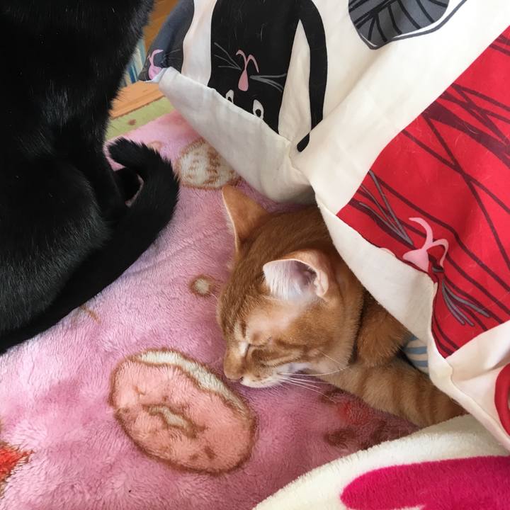 Bf6632da 74d9 40e7 839b a7cc5bf1574d