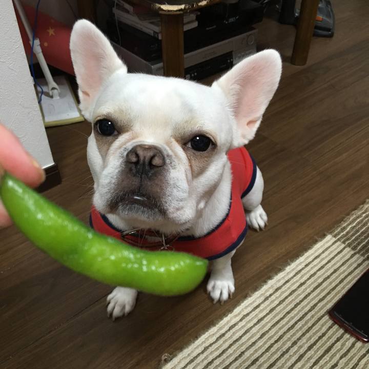 Bf665b0e 50f6 4247 9328 705c724e6f5a