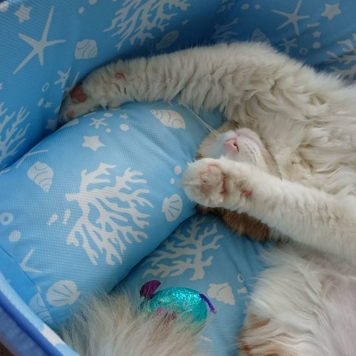 Bf666fb9 745a 4ace b728 6a73ee1dde17