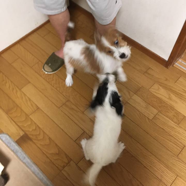 Bf679bb1 4d77 4ddf 9b04 13f95ef6af56