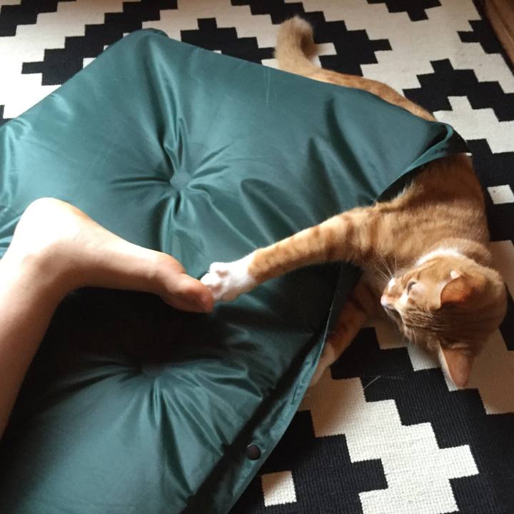 Bf68829a 852f 48f6 a196 8efceaa00678