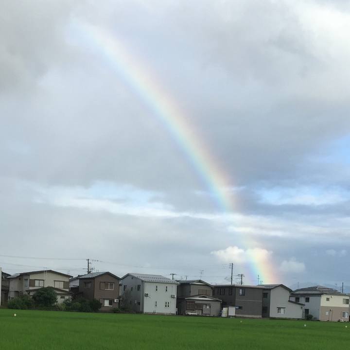 Bf692013 396b 435a b167 74e3b96f4264